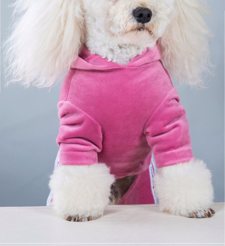 Pet Velvet Jumpsuit Athletic Hoodie with Rhinestone Design